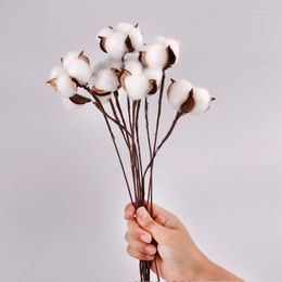 Decorative Flowers Artificial Dried Cotton White Flower Branch For Wedding Party Decoration Fake Home Decor Eucalyptus Leaves