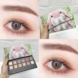 Eye Shadow 12 Colour Eyeshadow Palette Glitter Highlighter Shimmer Eyes Lasting Charming Makeup Cosmetic Shadows Pallete