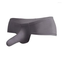 Underpants Men Briefs Sexy Elephant Nose Big Pouch Trunk Male Underwear Elastic Solid Soft Tanga Lingerie Erotic Sex Gay Panties