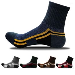 Men's Socks Hy23-2022 / 5 Colors Autumn And Winter Basketball Adult Versatile Cotton Sports