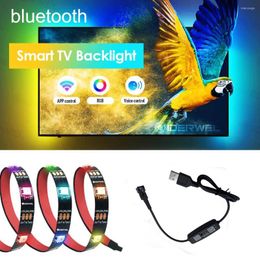 Strips WS2812B LED Strip Individually Addressable Smart RGB USB Bluetooth APP Music Controller TV PC HDTV Computer Monitor Backlight 5V