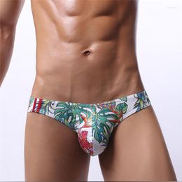 Underpants Men Sexy Breathable Briefs Low Rise Male Print Underpant Penis Pouch Gay Underwear Lingerie Plus Size Bikini Panties