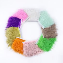 Party Decoration Multicolor Real Ostrich feather Trims Ribbon 8-10cm White Ostrich for Dress Clothing Decorations