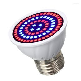 Grow Lights E27 Led Plant Light For Plants Flower Box Tent 80LED Bulb Hydro Greenhouse Full Spectrum Lamp