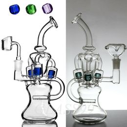 New Design Glass Hookah Bong Bubbler Dab Rig with Inline Coloured Perc Double Function Water Pipe Shisha 14mm Joint Bongs for Smoking 9" Tall