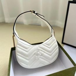 Designer Bags Classic Bags Lady Half Moon Handbags Mini Size Luxries Handbag Underarmbags Baguette Women Crossbag