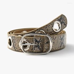 Belts Men Women Belt Fashion Oval Buckle Snake Pattern Decorative Jeans Ladies Dress Punk WaistbandBelts