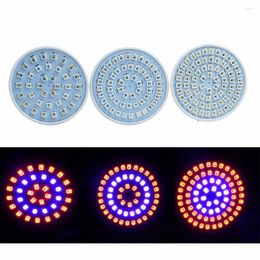 Grow Lights 1X Led Light Ampolletas E27 220V Lamps For Flowering Plant And Hydroponics Outdoor Spot Lighting 80Leds Bulb Lamp