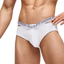 Underpants Mens Panties Cotton Briefs Gay Underwear Man Low Waist Comfortable Men's Breathable U Convex Cueca Slip Hombre