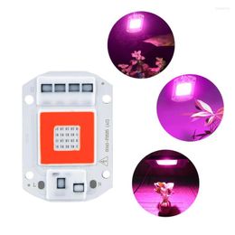 Grow Lights 50W 30W 20W COB LED Light Full Spectrum 220V 110V 380nm-840nm Fitolampy Phyto Lamp For Plants Tent Box Plant Chip