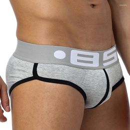 Underpants 85 Brand 50PC/LOT Wholesale Sexy Gay Briefs Men Underwear Breathable Male Panties Quick Dry Mesh