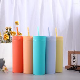 Mugs Double Wall Matte Finish Reusable Skinny 473ml 16oz Plastic Tumbler With Straw Water Bottle