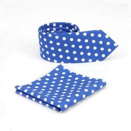 Bow Ties HISUMA Men Jacquard Polka Dot Skinny Neck Tie Groom Wedding Business Party Necktie Pocket Square Set Handkerchiefs Hanky