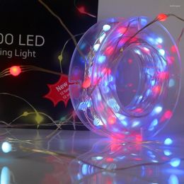 Strings 5M 10M Christmas Wedding Party Decoration Light WS2812B SK6812 Pixels RGB LED Fairy String Addressable Individually USB DC5V