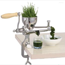 Juicers Wheat Grass Juice Extractor Manual Stainless Steel Screw Slow Juicer