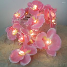 Strings Novelty Orchid Flower Fairy String 5 Metre 20 LEDs Holiday Lighting Floral Power By Battery Wedding Decoration Mirror Lamp