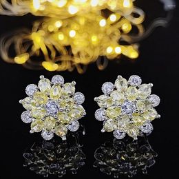 Stud Earrings 2022 Luxury Flower For Women Silver Color Korean Anniversary Gift Jewelry Wholesale Valentine's Day E5614b