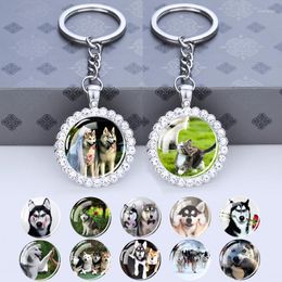 Keychains Siberian Husky Keychain Glass Cabochon Rhinestone Pendant Keyring Cute Dog Pet Key Chain Animal Jewellery Bag Accessories