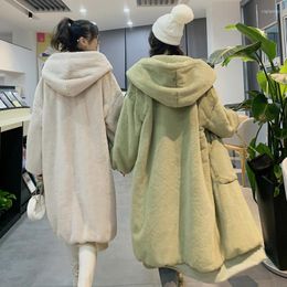 Women's Fur Winter Coat Women Loose Faux Long Warm Soft Zipper Hooded Jacket Plush Overcoat Pocket Plus Size Female