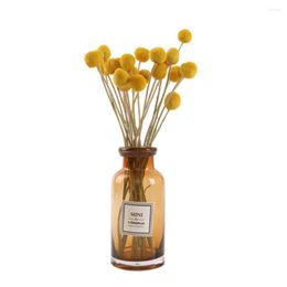 Decorative Flowers FUNNYBUNNY 10PCS Dried Craspedia Yellow Billy Balls For Wedding Bouquet Decor Christmas Wreath DIY No Vase