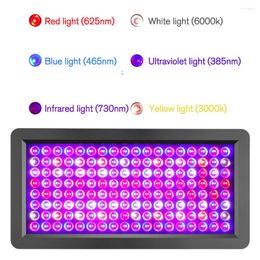 Grow Lights Full Spectrum LED Light Lamps AC100-277V For Indoor Plants Flower Greenhouse Tent Box