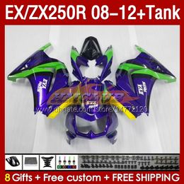 Injection Fairings & Tank For KAWASAKI NINJA EX250R ZX250R 2008 2009 2010 2011 2012 ZX250 EX250 R 163No.114 ZX-250R 08-12 EX ZX 250R 08 09 10 11 12 OEM Fairing green purple