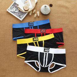 Underpants Brand Sexy Mens Underwear Jockstraps Cotton Jocks Bikini G-strings Men Thong Cuecas Male Panties Briefs Gay Penis