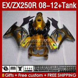 &Tank OEM Fairings For KAWASAKI NINJA ZX-250 ZX250 EX250 R ZX250R 08 09 10 2011 2012 163No.202 EX ZX 250R EX250R ZX-250R 2008 2009 2010 11 12 Injection Fairing golden flames