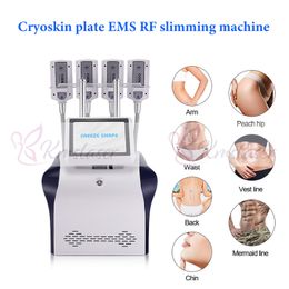 Cryoskin Ems RF Slimming Fat Reduce Machine Body Shape System Cellulite Removal Fat Freeze Equipment