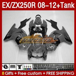 &Tank OEM Fairings For KAWASAKI NINJA ZX-250 ZX250 EX250 R ZX250R 08 09 10 2011 2012 163No.186 EX ZX 250R EX250R ZX-250R 2008 2009 2010 11 12 Injection Fairing grey flames