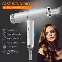 Haartrockner 1000W professionell Infrarot negativer Ionic Blow Cold Wind Salon Styler Tool Elektrischer Trockner Gebläse 221017