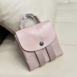 Totes Longcbag Tote Bag Women 7 Colours Designer Bags Handbag Large Capacity Backpack Classic Crossbody Purse 221017