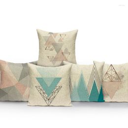 Pillow Nordic Style Geometry Cover Abstract Animal Pattern Home Decor Decorative Custom Throw Pillows Case