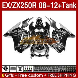 &Tank OEM Fairings For KAWASAKI NINJA ZX-250 ZX250 EX250 R ZX250R 08 09 10 2011 2012 163No.211 EX ZX 250R EX250R ZX-250R 2008 2009 2010 11 12 Injection Fairing silvery flames