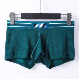 Underpants Sexy Mens Underwear Cool Elephant Nose Big Pouch Boxer Shorts Panties Ice Silk Men's