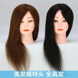 Hairdressing Mannequin Head All Real Hair Model Head Hair Cutting Mold Hair Mannequin Head Able to Be Permed and Dyed Barber Shop Wig