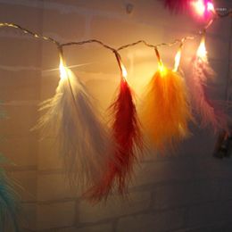 Strings Feather Night Light Fairy Novelty String Lights Battery Powered For Home Living Room Bedroom Party Wedding Decorative