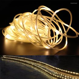 Strings The Longest 10M-100M Street Garland String Fairy Lights Waterproof Rope Light For House Tube Outdoor Garden Christmas Decoration