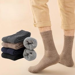 Men's Socks 22 Autumn And Winter Men's Mid-thigh Solid Colour High Like Tendons Terry Thickened Warm Wool