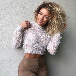 Women's T Shirts Women's T-Shirt Sexy Women Lace Long SLeeve Mesh Sheer Cropped Top Female Round Neck Sping Autumn Tops