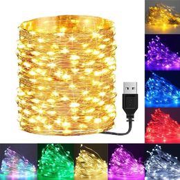 Strings 10/5/3/2M LED Copper Silver Wire Garland Fairy Light String USB Charging Party Wedding Christmas DIY Romantic Decoration