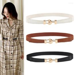 Belts Gold Metal Buckle Women Solid Colour Thin Elastic Nylon Waistbands Straps Dress Coat Waist Gift