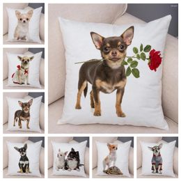 Pillow Lovely Pet Animal Case Decor Cute Little Dog Chihuahua Pillowcase Soft Plush Cover For Car Sofa Home 45x45cm