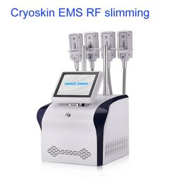 NEW ems rf cryolipolysis fat freeze slimming machine cryo lipo beauty equipment