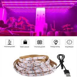 Grow Lights LED Light Full Spectrum 5V USB Strip 2835 Phyto Lamps For Plants Greenhouse Hydroponic Growing 0.5M 1M 2M
