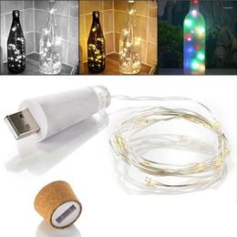 Strings LED String Light USB Rechargeable 1.5M 15 Wine Bottle Cork Night Home Wedding Party Decor