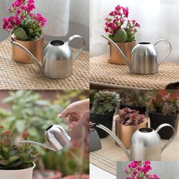 Watering Equipments Stainless Steel Watering Kettle Hortictural Potted Plants Small Scale Water Flowers Kettles Indoor Long Mouth Sp Dhhzo