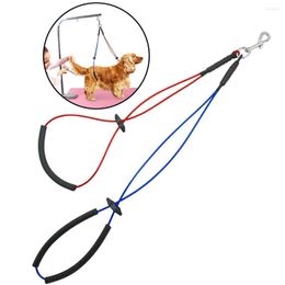 Dog Collars Resistant To Bite Steel Wire Pet Haunch Holder Grooming Loop Arm Restraint For Small Large Dogs Soft Rubber Padded Leash