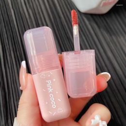 Lip Gloss Lipstick Moisturising Waterproof Sweat Glaze Tint Long Lasting Sexy Light Makeup