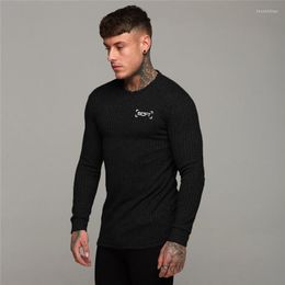 Men's T Shirts 2022 Youth Fashion Autumn Clothes Men's Casual Sports Long Sleeve T-shirt Soft Comfortable Knitted Bottoming Shirt